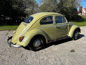 Volkswagen Brouk  1960