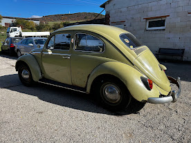 Volkswagen Brouk  1960