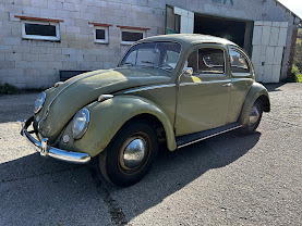Volkswagen Brouk  1960