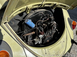 Volkswagen Brouk  1960