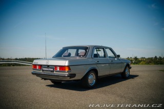 Mercedes-Benz 230 e , automat,2.majite!! 1982