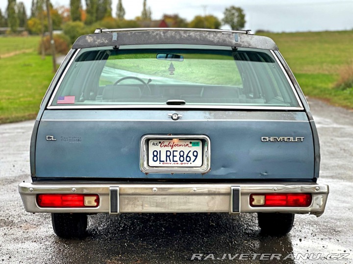 Chevrolet Malibu Classic Wagon 5.0L V8 1983