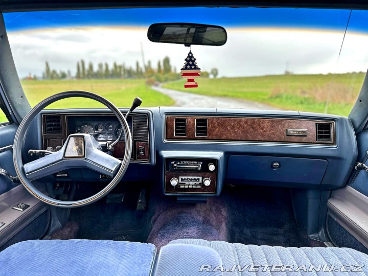 Chevrolet Malibu Classic Wagon 5.0L V8 1983