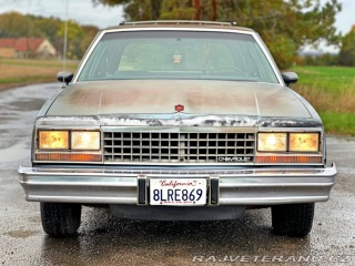 Chevrolet Malibu Classic Wagon 5.0L V8 1983