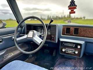 Chevrolet Malibu Classic Wagon 5.0L V8 1983