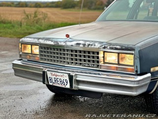 Chevrolet Malibu Classic Wagon 5.0L V8 1983