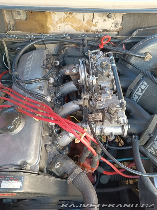 Volvo 240 244 1981
