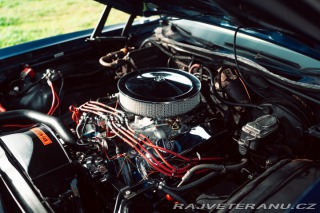 Ford Ranchero Squire 1974