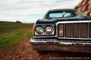Ford Ranchero Squire 1974