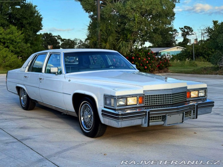 Cadillac Fleetwood 7.0 V8 | 1.majitel 1979
