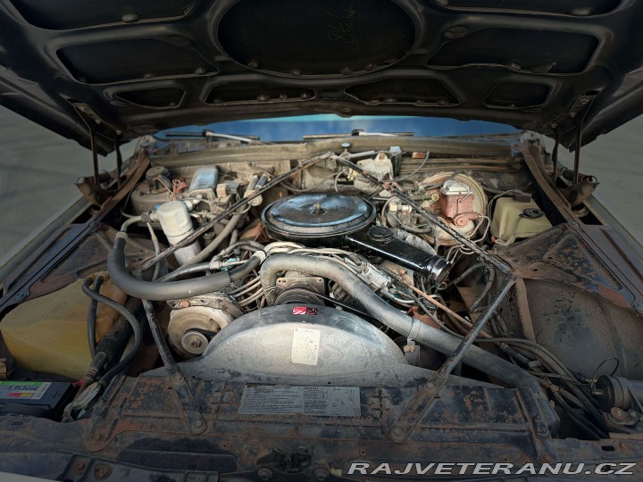 Cadillac Fleetwood 7.0 V8 | 1.majitel 1979