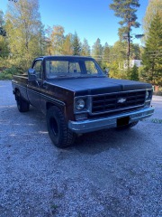 Chevrolet C10 C10
