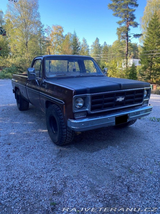 Chevrolet Ostatní modely C10 C10 1977