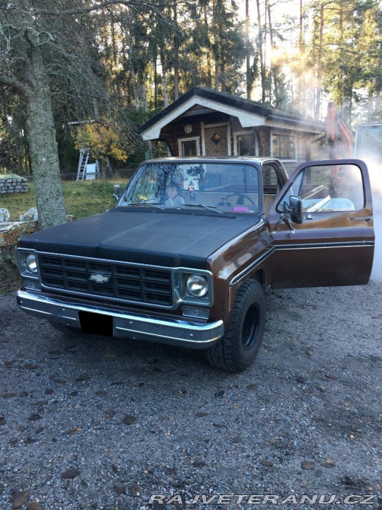 Chevrolet Ostatní modely C10 C10 1977