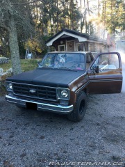 Chevrolet Ostatní modely C10 C10 1977