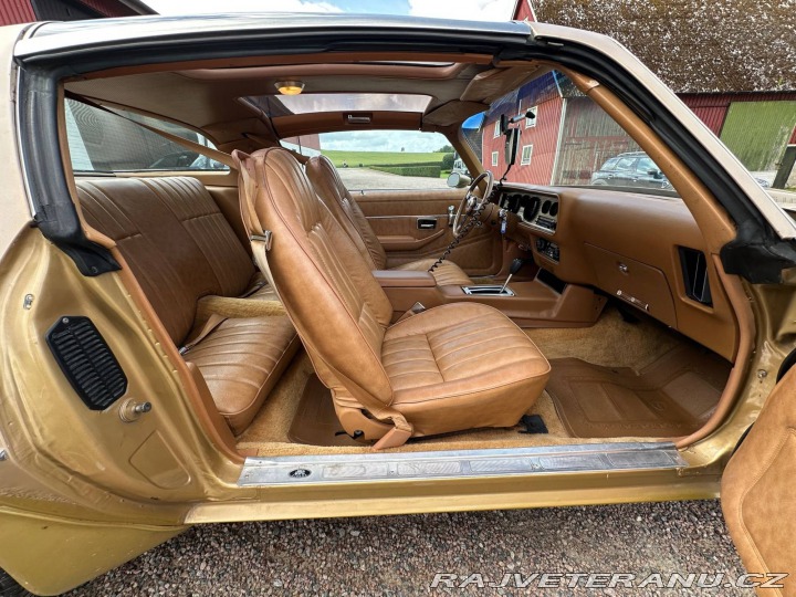 Pontiac Trans Am 6.6 V8 Targa 1979