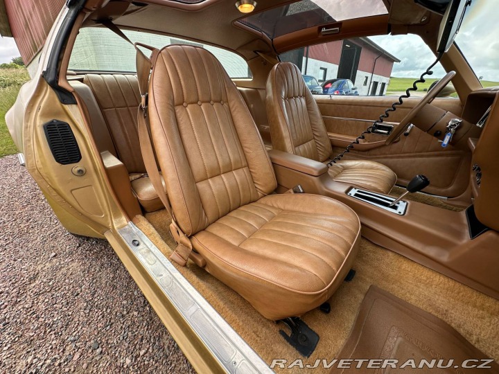 Pontiac Trans Am 6.6 V8 Targa 1979