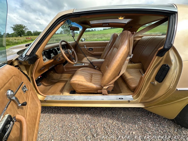 Pontiac Trans Am 6.6 V8 Targa 1979