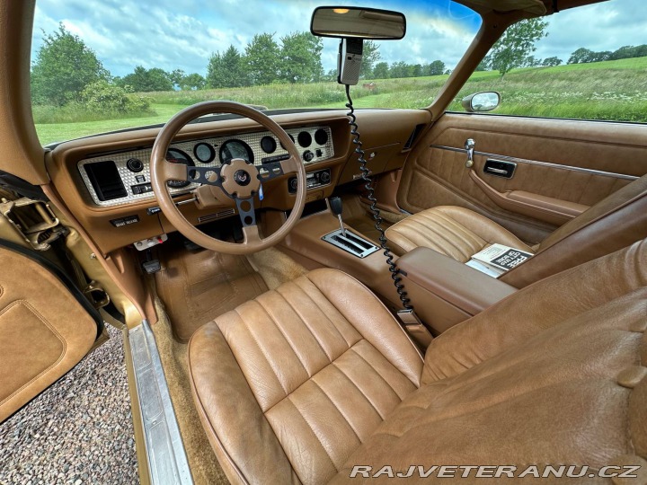 Pontiac Trans Am 6.6 V8 Targa 1979