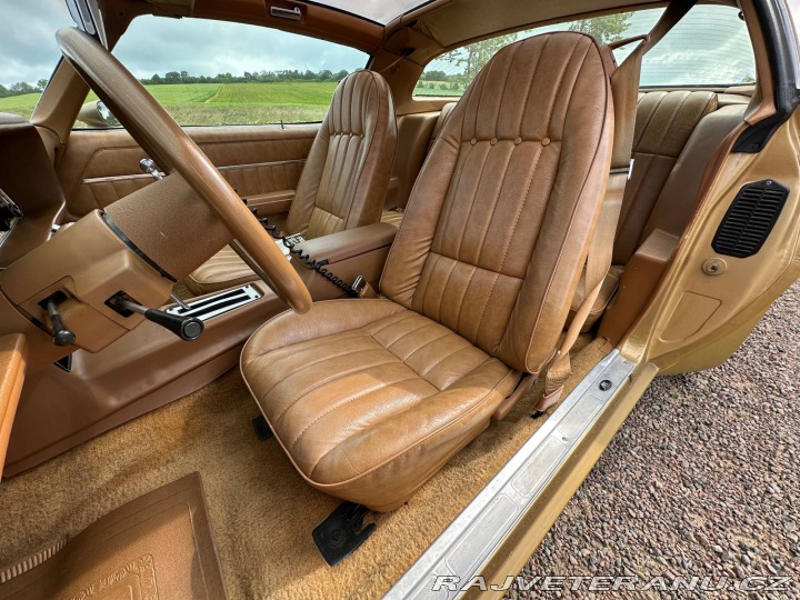 Pontiac Trans Am 6.6 V8 Targa 1979