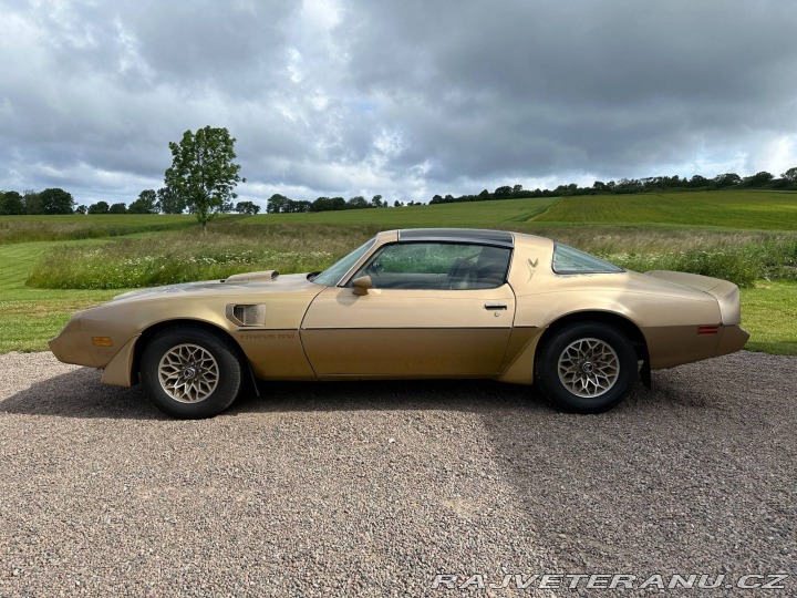 Pontiac Trans Am 6.6 V8 Targa 1979