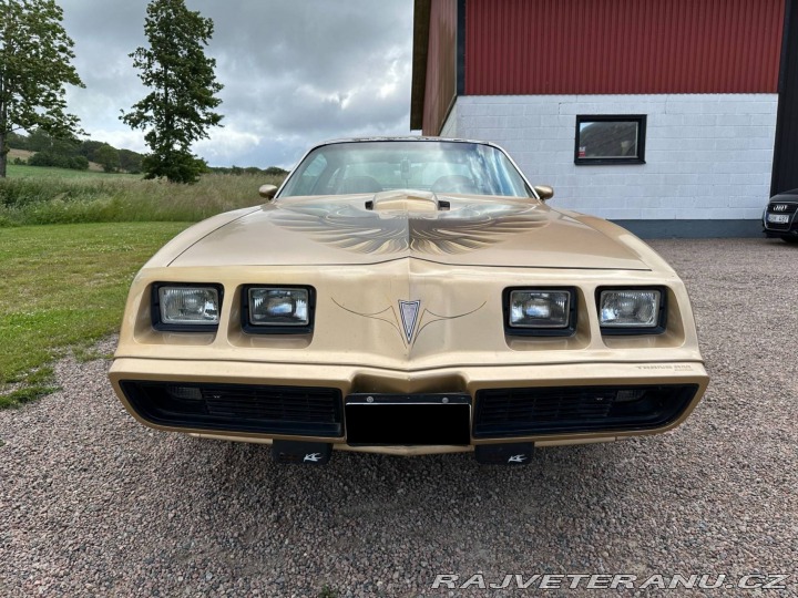 Pontiac Trans Am 6.6 V8 Targa 1979