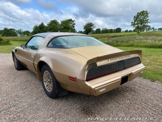 Pontiac Trans Am 6.6 V8 Targa 1979