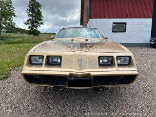 Pontiac Trans Am 6.6 V8 Targa 1979