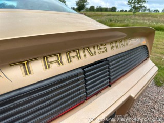 Pontiac Trans Am 6.6 V8 Targa 1979