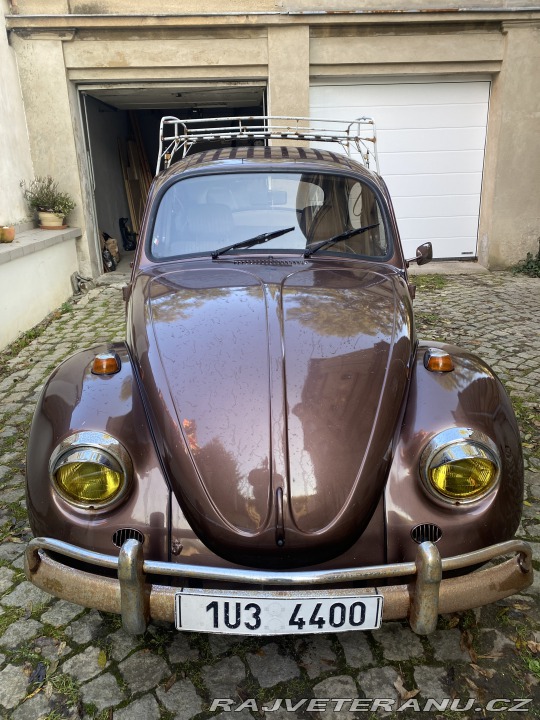 Volkswagen Brouk 1966