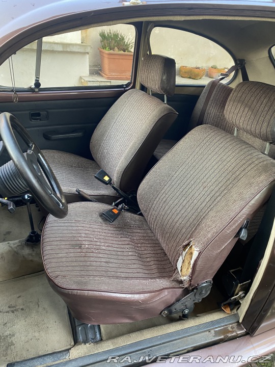 Volkswagen Brouk 1966