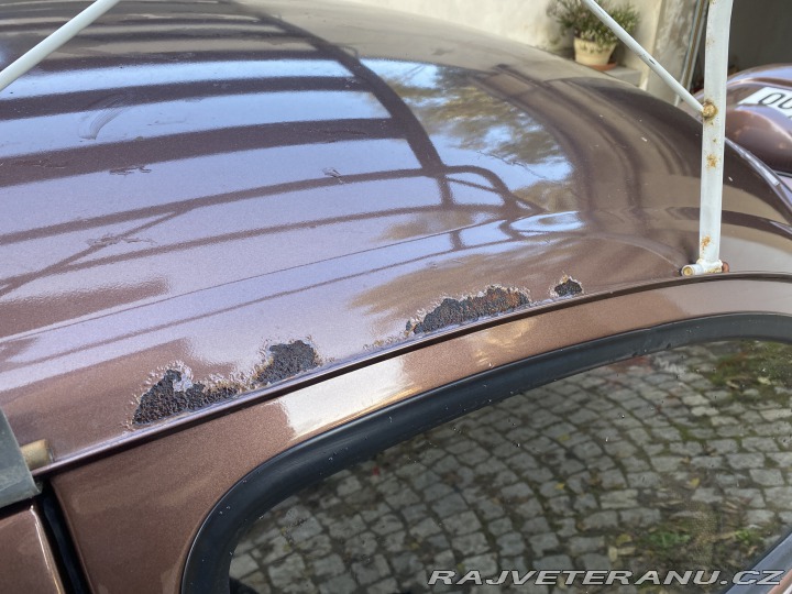 Volkswagen Brouk 1966