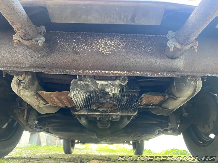 Volkswagen Brouk 1966