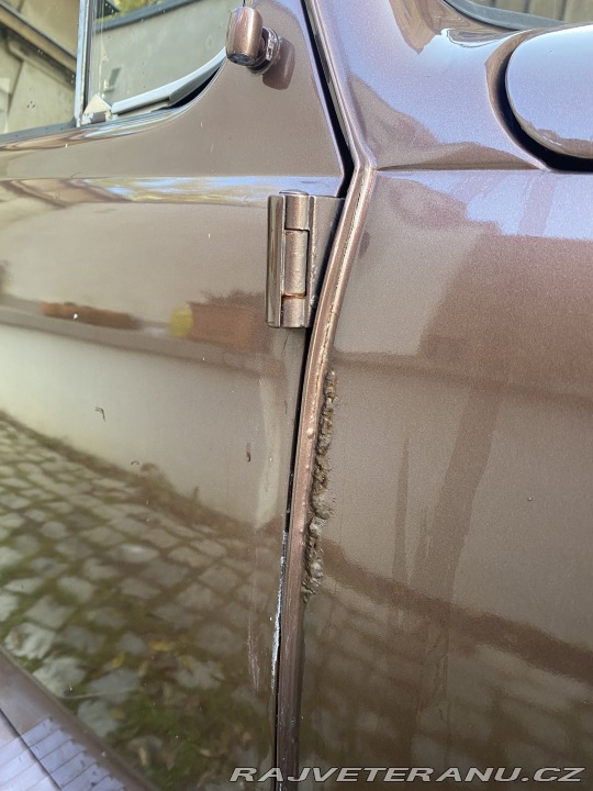 Volkswagen Brouk 1966