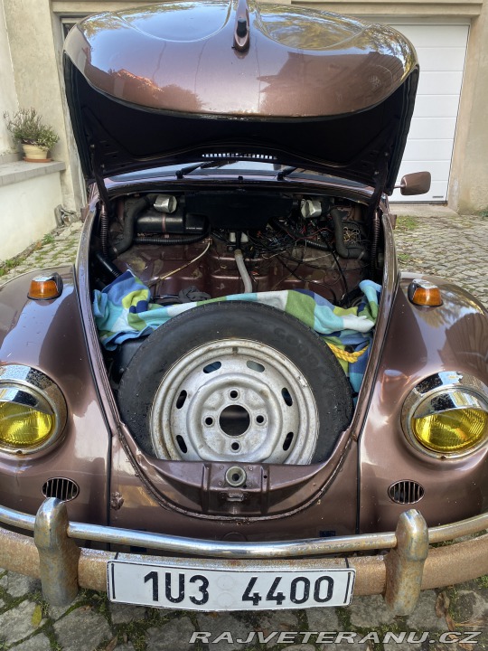 Volkswagen Brouk 1966