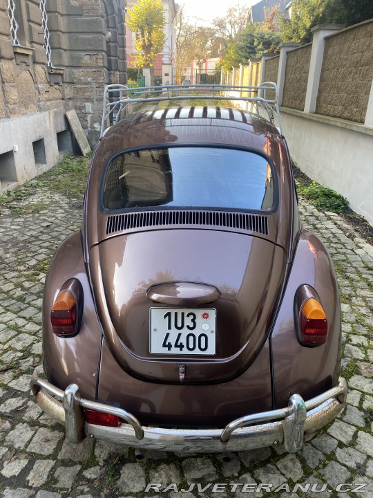 Volkswagen Brouk 1966