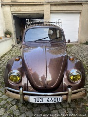 Volkswagen Brouk 1966