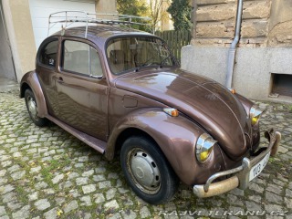 Volkswagen Brouk 1966