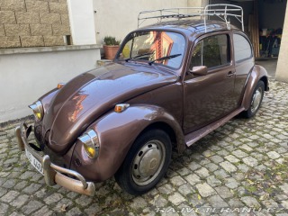 Volkswagen Brouk 1966
