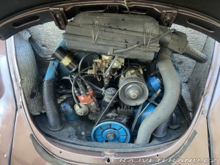 Volkswagen Brouk 1966