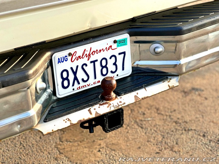 Ford F 150 5.8 V8 | 4x4 | XLT 1995