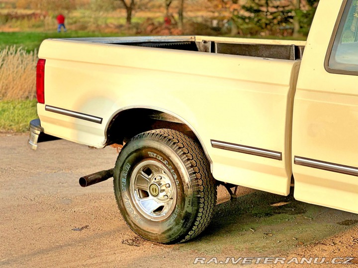 Ford F 150 5.8 V8 | 4x4 | XLT 1995