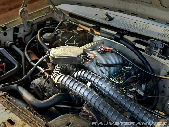 Ford F 150 5.8 V8 | 4x4 | XLT 1995
