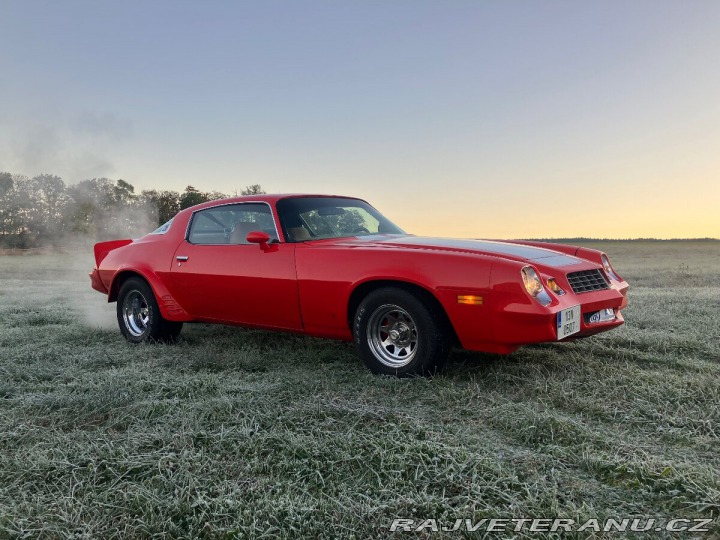 Chevrolet Camaro Berlineta 1979