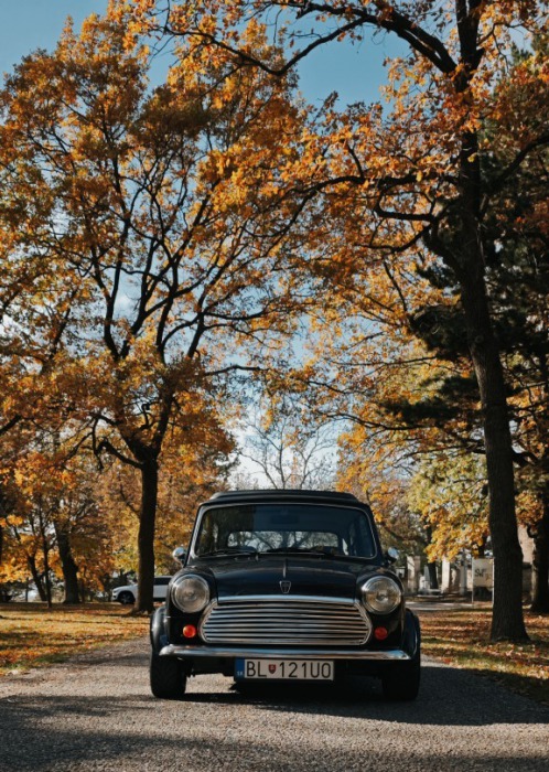 Mini Cooper 