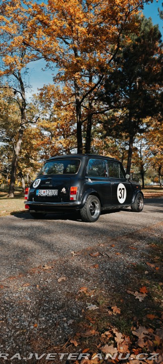 Mini Cooper 1996