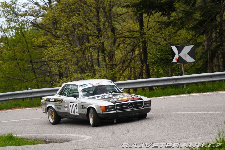 Mercedes-Benz 350 SLC Race Car 1973