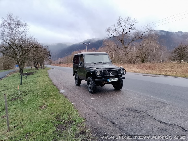 Mercedes-Benz G 460 1983