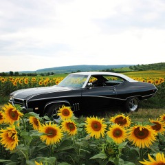 Buick Skylark 