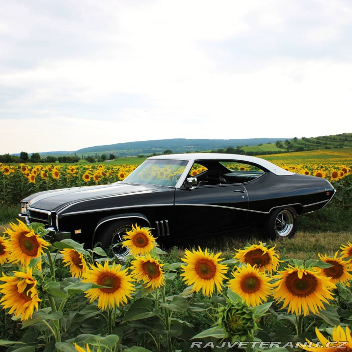 Buick Skylark  1969